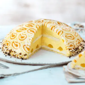 Bild von Bisquisit 100 PLUS für Bäckerei, Konditorei, Gastronomie und Eisdiele Bild von Bisquisit 100 PLUS für Bäckerei, Konditorei, Gastronomie und Eisdiele