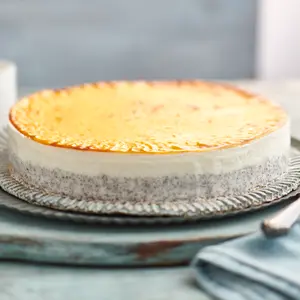 Bild von Käse-Frisch hoch für Bäckerei, Konditorei, Gastronomie und Eisdiele Bild von Käse-Frisch hoch für Bäckerei, Konditorei, Gastronomie und Eisdiele