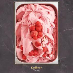 Bild von Eispaste Erdbeere / Fragola für Bäckerei, Konditorei, Gastronomie und Eisdiele Bild von Eispaste Erdbeere / Fragola für Bäckerei, Konditorei, Gastronomie und Eisdiele