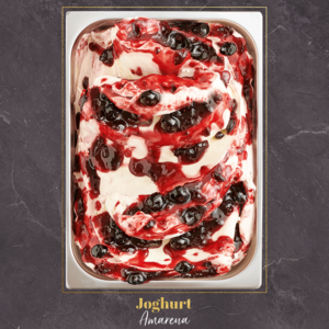 Eiszubereitung Joghurt 50