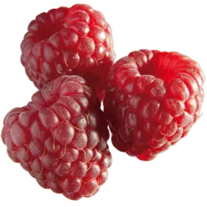 Bild von Fruchtpüree Himbeere für Bäckerei, Konditorei, Gastronomie und Eisdiele Bild von Fruchtpüree Himbeere für Bäckerei, Konditorei, Gastronomie und Eisdiele