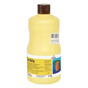 Bild von Caribia für Bäckerei, Konditorei, Gastronomie und Eisdiele Bild von Caribia für Bäckerei, Konditorei, Gastronomie und Eisdiele