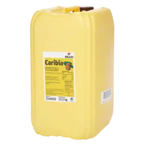 Bild von Caribia für Bäckerei, Konditorei, Gastronomie und Eisdiele Bild von Caribia für Bäckerei, Konditorei, Gastronomie und Eisdiele