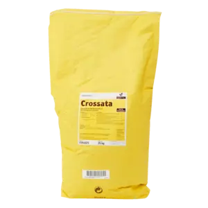 Bild von Crossata für Bäckerei, Konditorei, Gastronomie und Eisdiele Bild von Crossata für Bäckerei, Konditorei, Gastronomie und Eisdiele